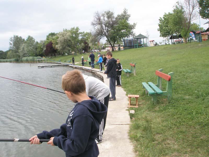 Erdei iskolás képek