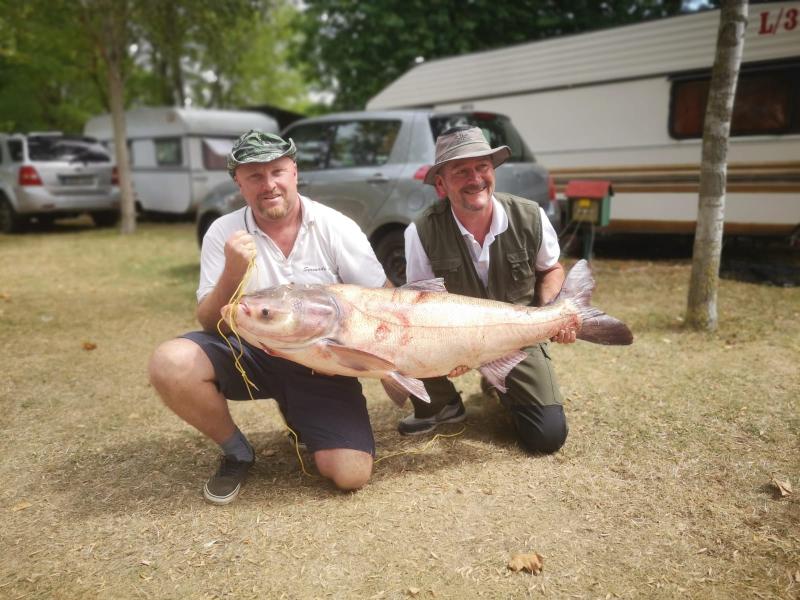 Harcsa helyett a busai is jó!